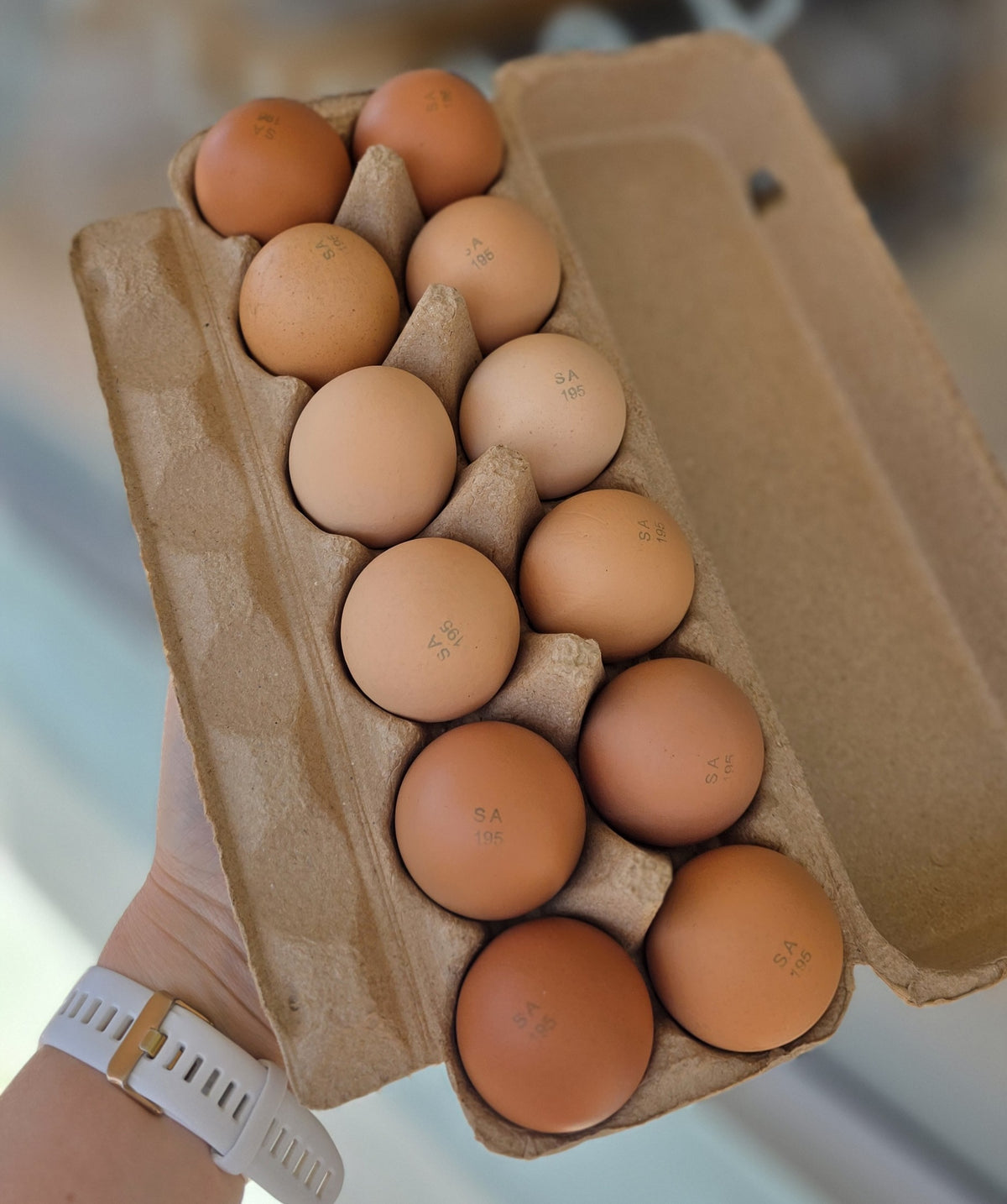 Eggs - 1 Doz