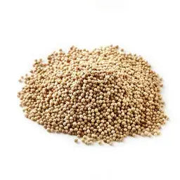 Coriander Seeds 50g