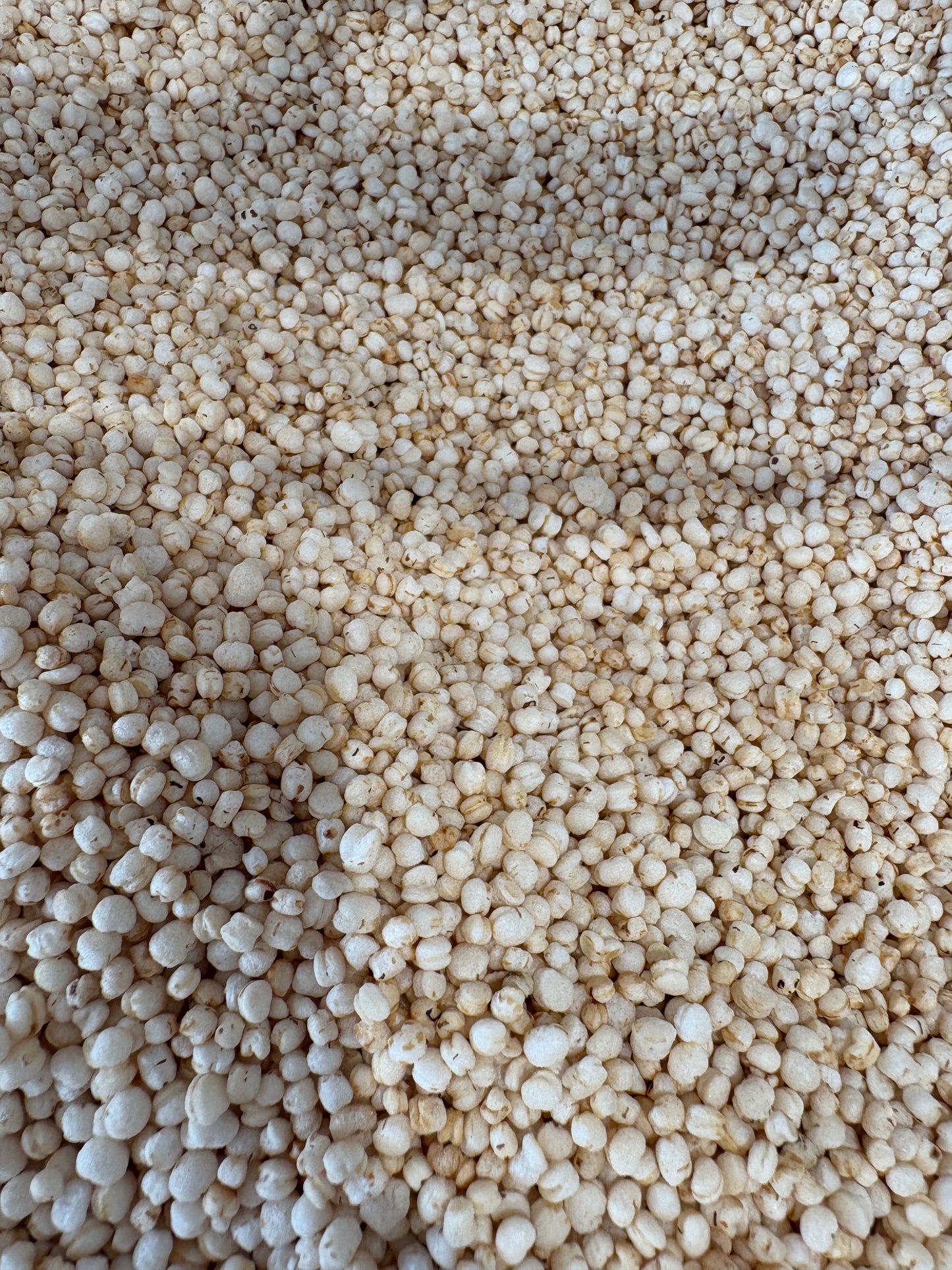 Organic Quinoa Puffs