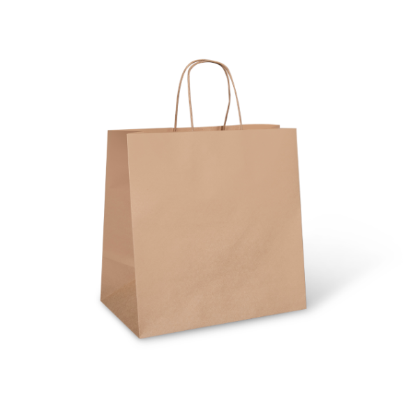 Brown Kraft Handle Bag