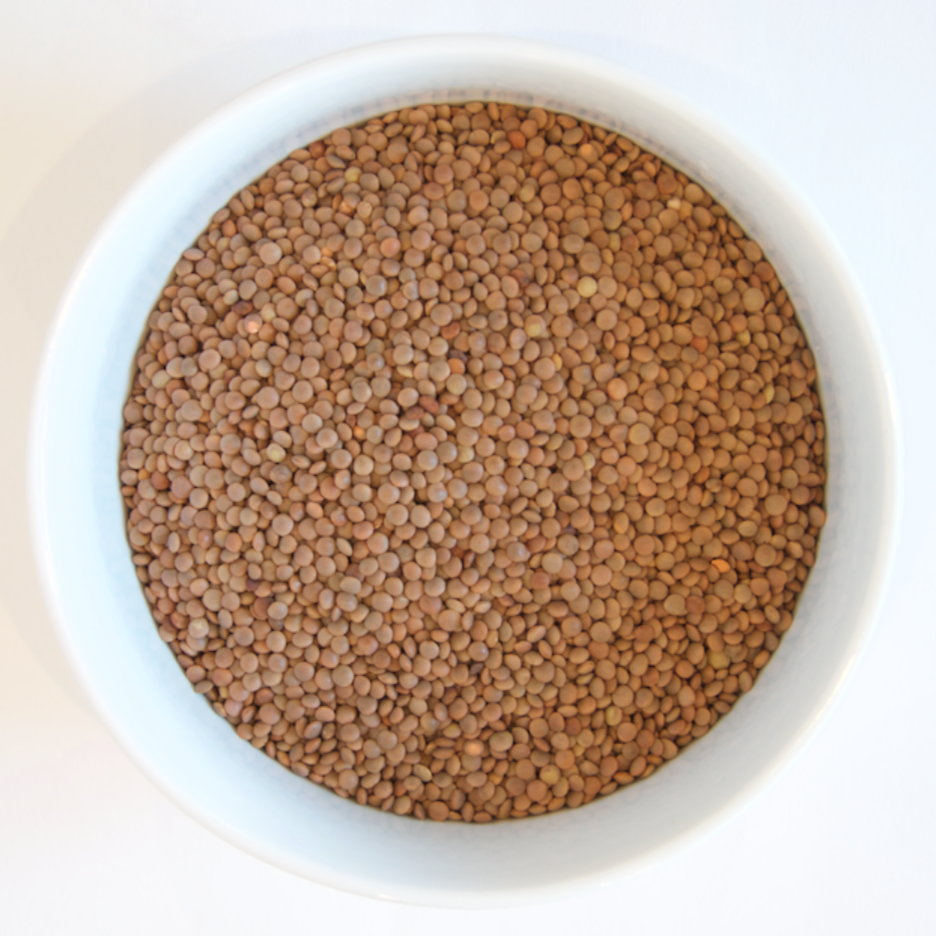Australian Whole Red Lentils
