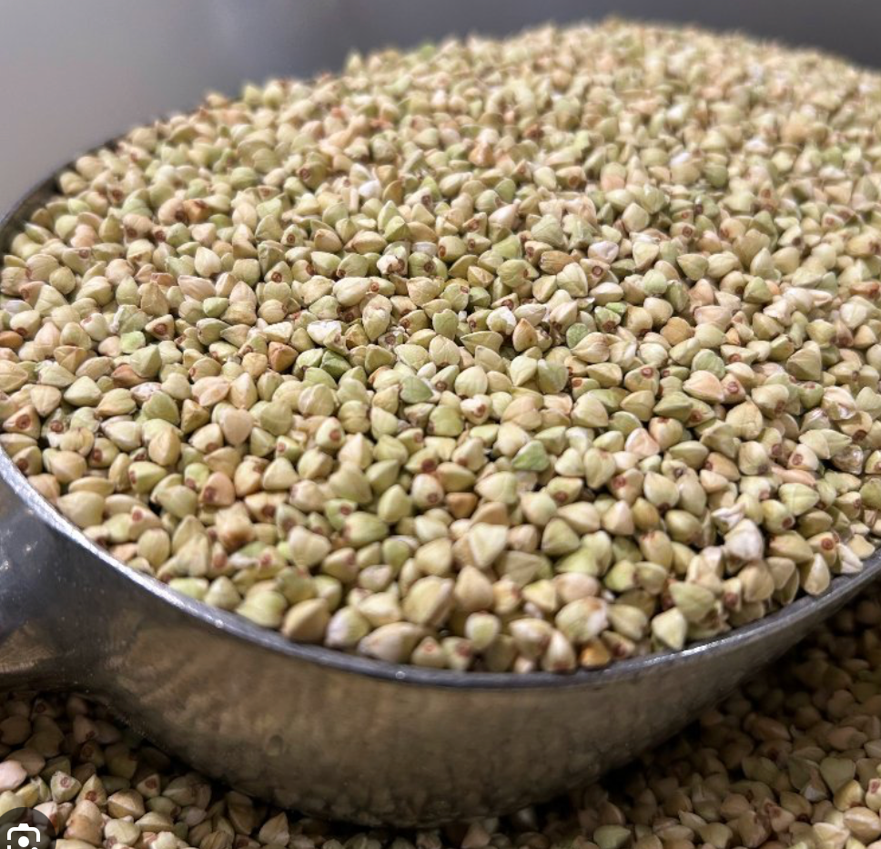 Activated Organic Buckinis