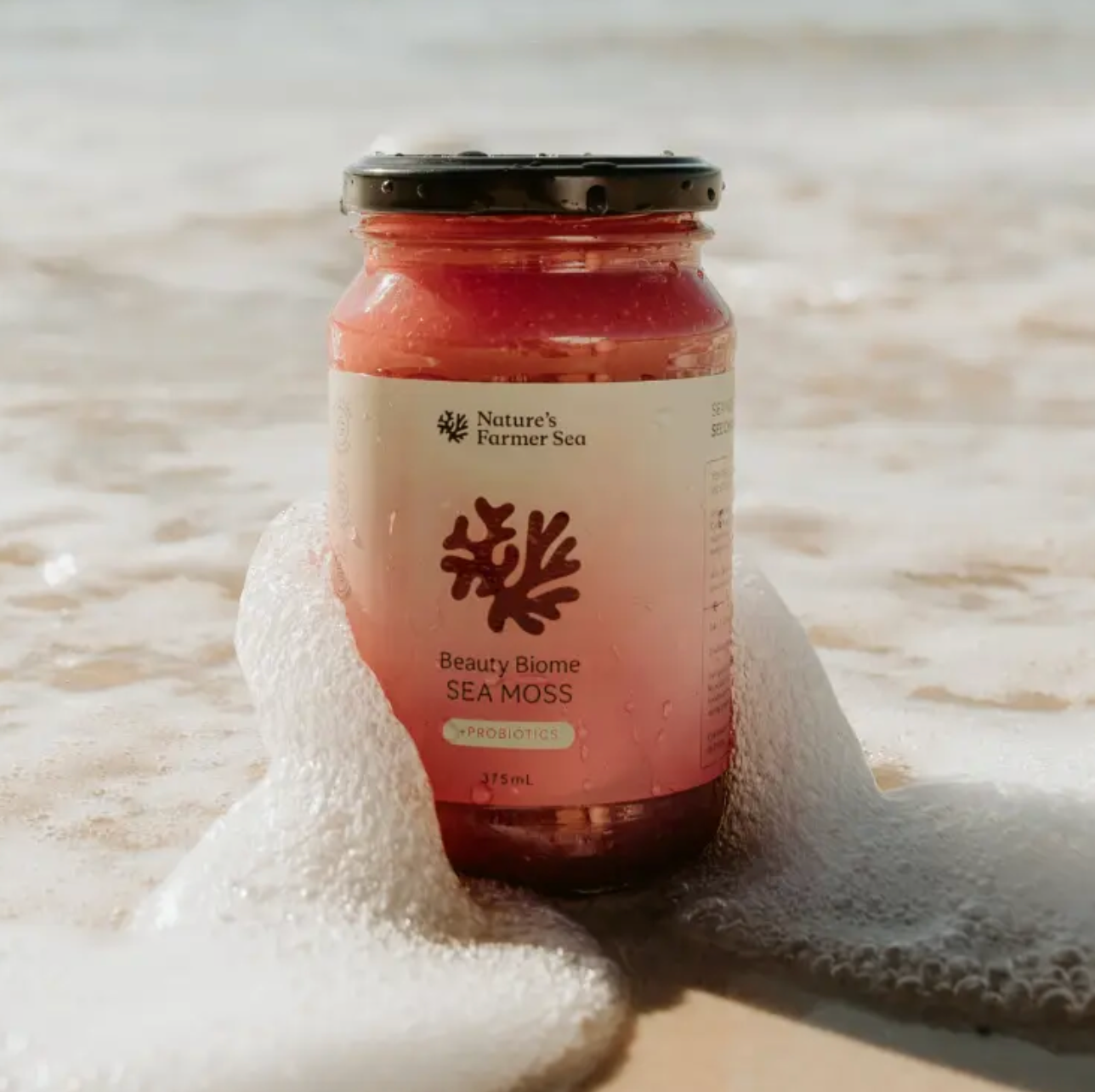 Sea Moss Gel - Beauty Biome