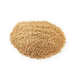 Mustard Yellow Whole Seeds 50g