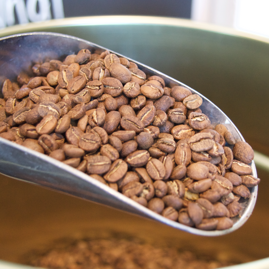 Eyre Roasted Coffee Beans