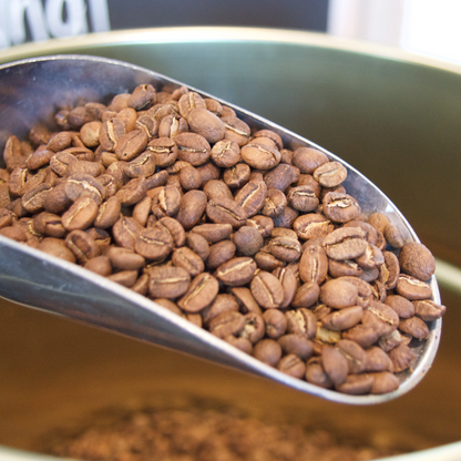 Eyre Roasted Coffee Beans